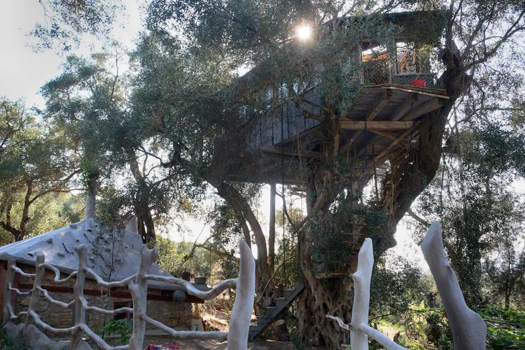 Margaritis'S Treehouse Paramonas (Corfu) Exterior foto