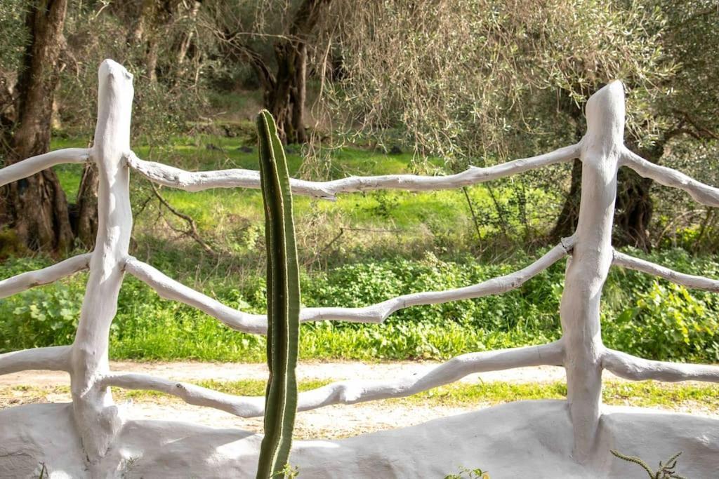 Margaritis'S Treehouse Paramonas (Corfu) Exterior foto