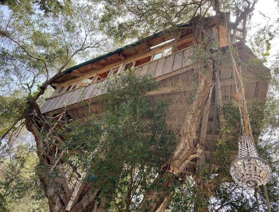 Margaritis'S Treehouse Paramonas (Corfu) Exterior foto
